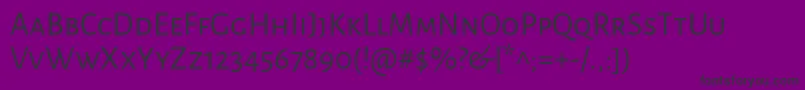 AlegreyasansscRegular Font – Black Fonts on Purple Background