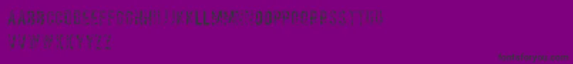 Salvagetype Font – Black Fonts on Purple Background