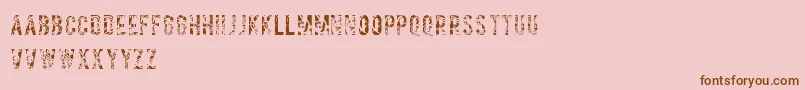 Salvagetype Font – Brown Fonts on Pink Background