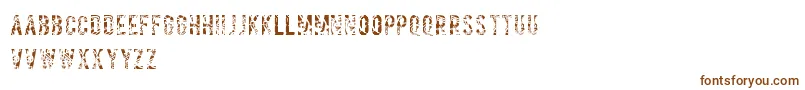 Шрифт Salvagetype – коричневые шрифты на белом фоне