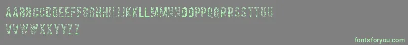 Salvagetype Font – Green Fonts on Gray Background