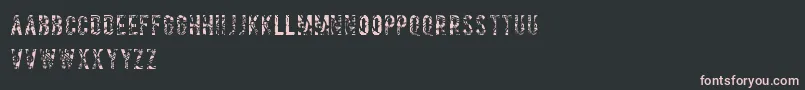 Salvagetype Font – Pink Fonts on Black Background