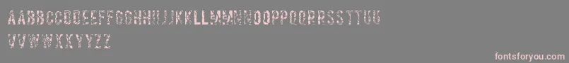 Salvagetype Font – Pink Fonts on Gray Background