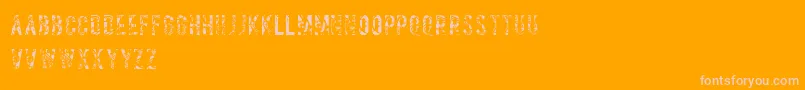 Salvagetype Font – Pink Fonts on Orange Background