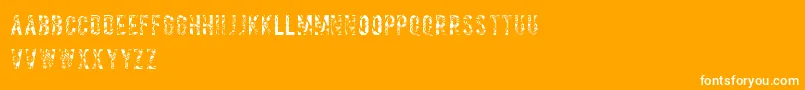 Salvagetype Font – White Fonts on Orange Background