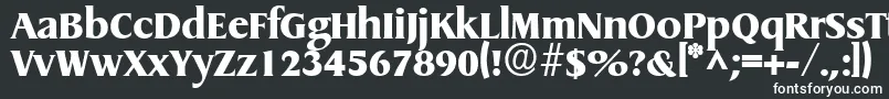 フォントGriffonExtrabold – 白い文字