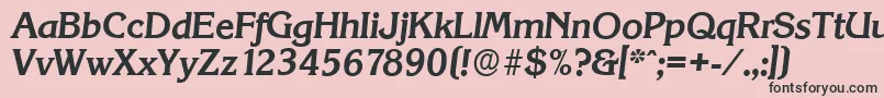 KorinthserialBolditalic Font – Black Fonts on Pink Background