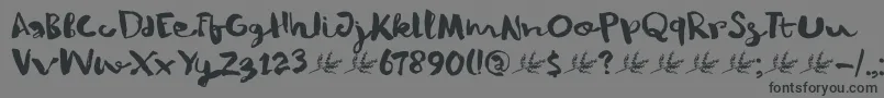Шрифт DkWinterberry – чёрные шрифты на сером фоне