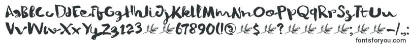 DkWinterberry Font – Fonts for Newborns