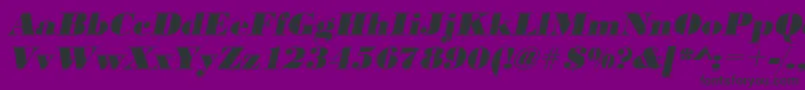 UrwbodonidextbolwidOblique Font – Black Fonts on Purple Background