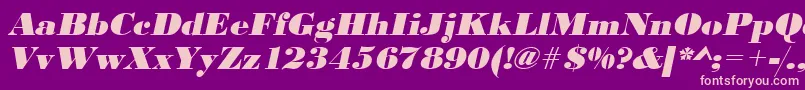 UrwbodonidextbolwidOblique Font – Pink Fonts on Purple Background