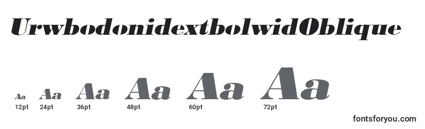 Размеры шрифта UrwbodonidextbolwidOblique