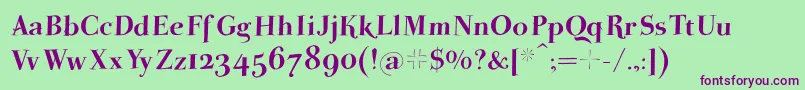 SwingingpetidoniHeavy Font – Purple Fonts on Green Background