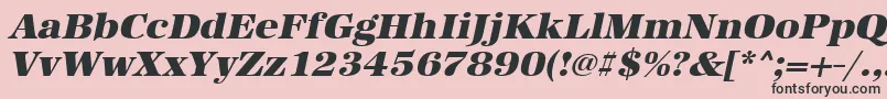 UrwantiquatultbolwidOblique Font – Black Fonts on Pink Background