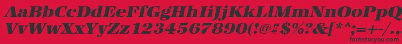 UrwantiquatultbolwidOblique Font – Black Fonts on Red Background