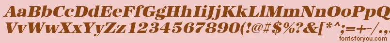 UrwantiquatultbolwidOblique Font – Brown Fonts on Pink Background