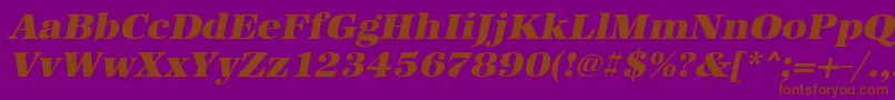 UrwantiquatultbolwidOblique Font – Brown Fonts on Purple Background