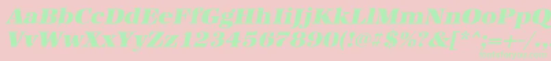 UrwantiquatultbolwidOblique Font – Green Fonts on Pink Background