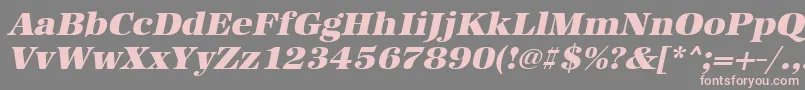 UrwantiquatultbolwidOblique Font – Pink Fonts on Gray Background
