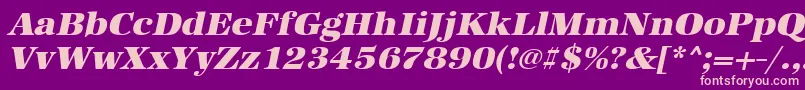 UrwantiquatultbolwidOblique Font – Pink Fonts on Purple Background