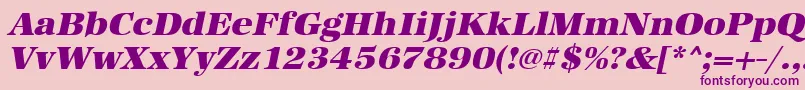 UrwantiquatultbolwidOblique Font – Purple Fonts on Pink Background
