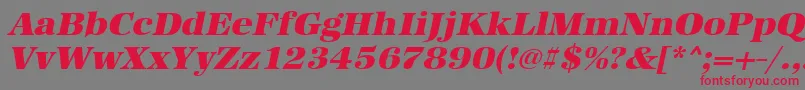 UrwantiquatultbolwidOblique-Schriftart – Rote Schriften auf grauem Hintergrund