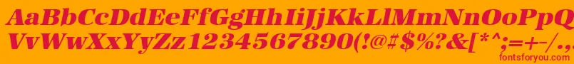 UrwantiquatultbolwidOblique Font – Red Fonts on Orange Background