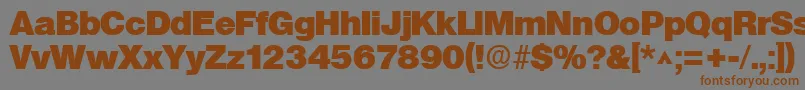 More about SanslhBold Font SanslhBold Font – Brown Fonts on Gray Background