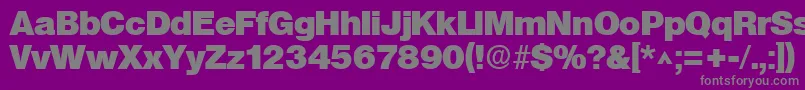 SanslhBold-Schriftart – Graue Schriften auf violettem Hintergrund