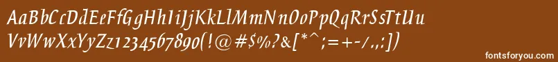 BreezeRegular Font – White Fonts on Brown Background