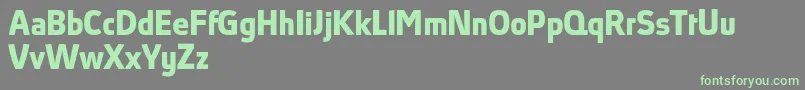 AbsolutProBoldReduced Font – Green Fonts on Gray Background
