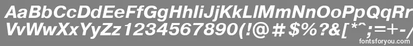 フォントPragmat – 灰色の背景に白い文字