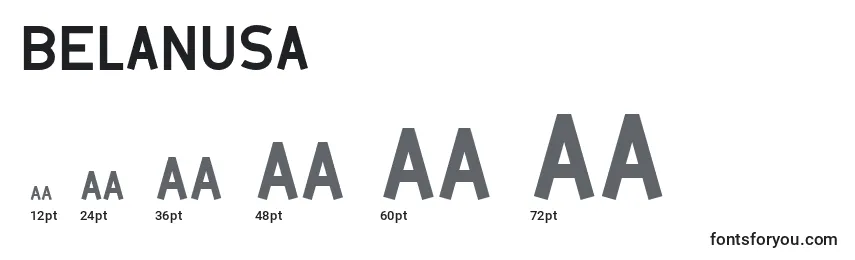 Belanusa Font Sizes