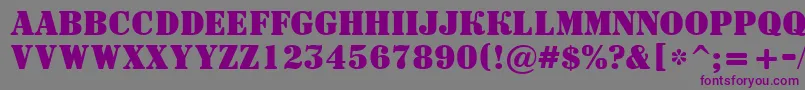 ASignboardtitulBold Font – Purple Fonts on Gray Background