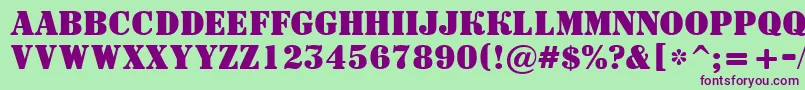 ASignboardtitulBold Font – Purple Fonts on Green Background