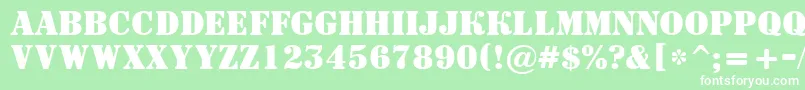 ASignboardtitulBold Font – White Fonts on Green Background