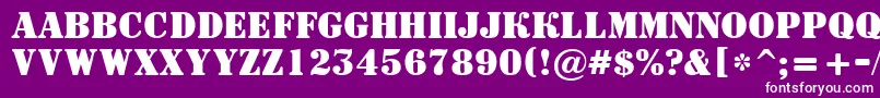 ASignboardtitulBold Font – White Fonts on Purple Background