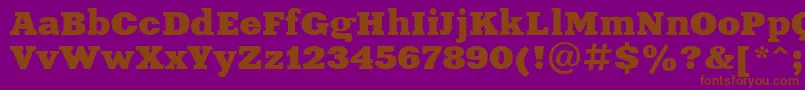 Aardvark Font – Brown Fonts on Purple Background
