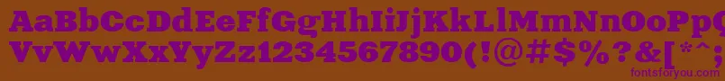 Czcionka Aardvark – fioletowe czcionki na brązowym tle