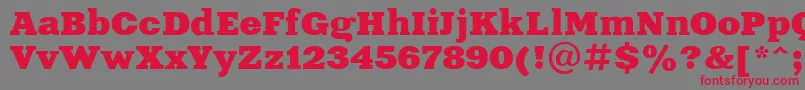 Aardvark Font – Red Fonts on Gray Background