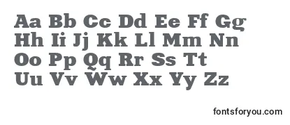 Обзор шрифта Aardvark