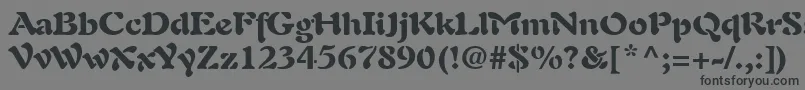 PaletteBlackSsiBlack-Schriftart – Schwarze Schriften auf grauem Hintergrund