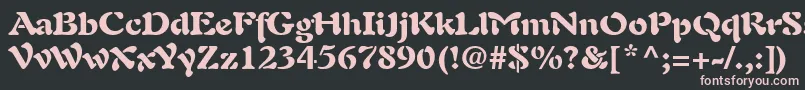 Lisätietoja PaletteBlackSsiBlack-fontista PaletteBlackSsiBlack-fontti – vaaleanpunaiset fontit mustalla taustalla