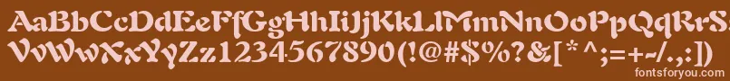 PaletteBlackSsiBlack Font – Pink Fonts on Brown Background