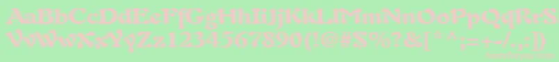 PaletteBlackSsiBlack Font – Pink Fonts on Green Background