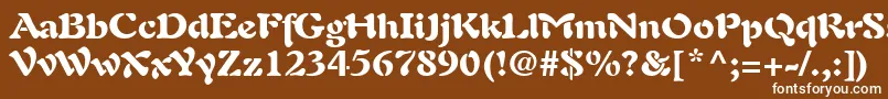 Czcionka PaletteBlackSsiBlack – białe czcionki na brązowym tle