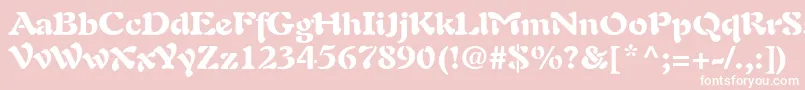PaletteBlackSsiBlack-Schriftart – Weiße Schriften auf rosa Hintergrund