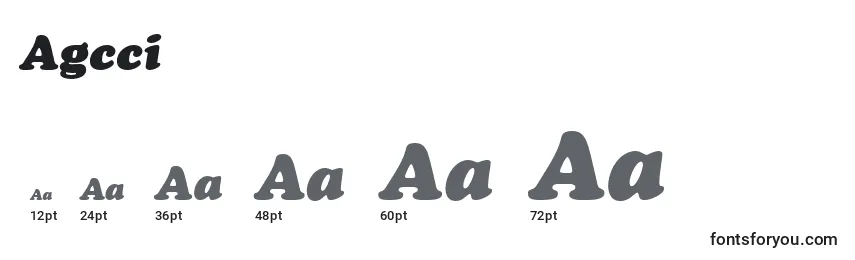 Размеры шрифта Agcci