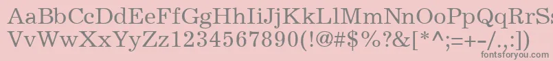 Police ExemplaryRegularDb – polices grises sur fond rose