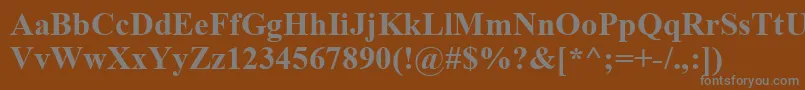 Шрифт Timesbd0 – серые шрифты на коричневом фоне